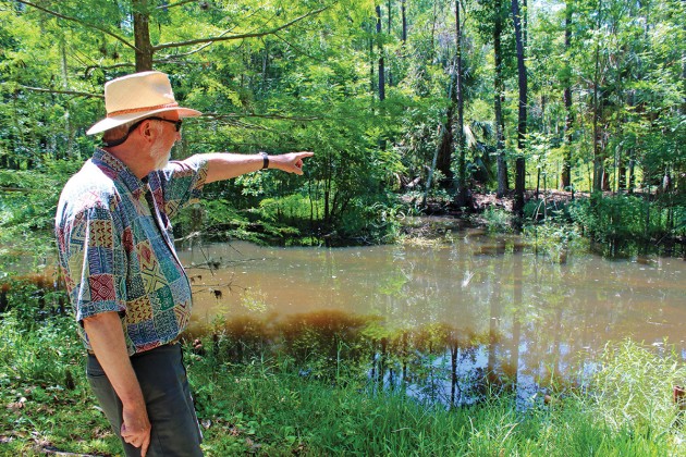 Barlow Curran in his backyard pointing out berm created when creek was originally dredged and moved in 1953. Area beyond berm is marshland where the creek originally ran.