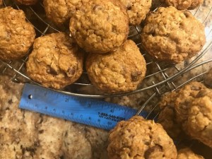 Oatmeal Chocolate Chip Cookies